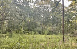3508 Gilliland Creek Road, Huntington, TX 75949