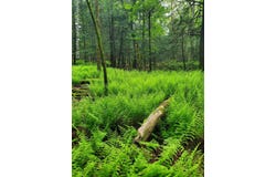 Schroon Hill Road, Kerhonkson, NY 12446