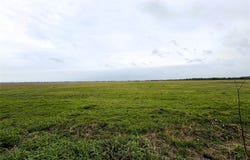 CR 182, Marlin, TX 76661