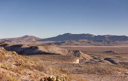 135 Claret Cup, Terlingua, TX 79852