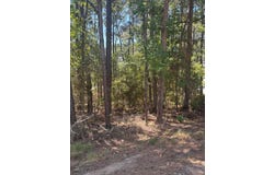 122 Oriole Dr, Brookeland, TX 75931