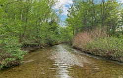 2384 White Mountain Highway, Conway, NH 03860