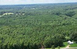 00 CO RD 54, PARCEL #2, Haleyville, AL 35565