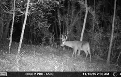 272 Hwy 35, Collins, MS 39428