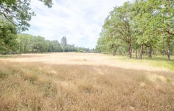 Livingston Way, Grants Pass, OR 97526