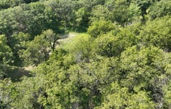 2681 Casey Avenue, Letts, IA 52754