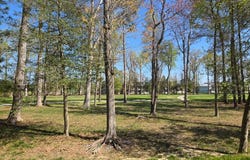 22211 DUNE CIRCLE, MILLSBORO, DE 19966