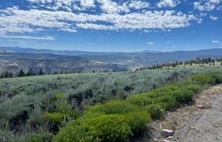 924 Cinnamon Trail, Powderhorn, CO 81243