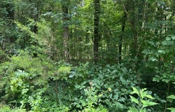 103 Poplar Circle, New Haven, KY 40051