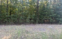 Cougar Drive, Spencer, TN 38585