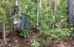 54.5 Acres Epps Rd., New Zion, SC 29111