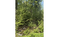 LOWER DAM Road, MOUNTAIN, WI 54149