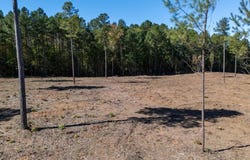 1.41 AC Millville Road, Lawrenceville, VA 23868