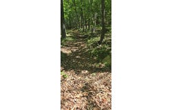 Goose Creek Lane, Ararat, VA 24053