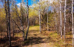 49xx Morris Thomas Rd, Hermantown, MN 55811