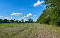 Tbd CR 4410, Commerce, TX 75428