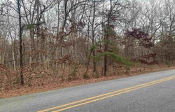 662 Dogwood Ave Ave, Egg Harbor Township, NJ 08234