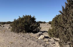 TBD 203-67-011, St. Johns, AZ 85936