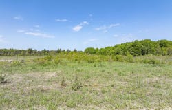 00 M-37, MESICK, MI 49668