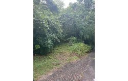 3029 New York Avenue, Chattanooga, TN 37406