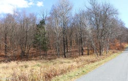 0 Rose Hill Road, Lake Como, PA 18437