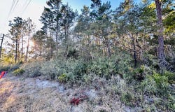2043 Hwy 98 W, Carrabelle, FL 32322