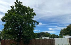 6059 S Circle R Road, Fort Worth, TX 76140