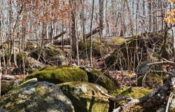 TBD Stewart Farm Rd, Gray, GA 31032