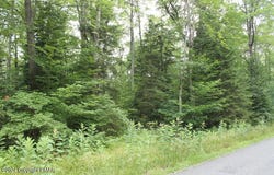 517 E Forest Road, Pocono Lake, PA 18347