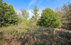 Tbd W Fm 489, Teague, TX 75860