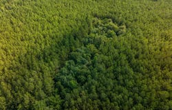 TBD Webb Rd., Spearsville, LA 71277