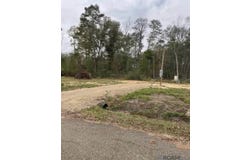 28489 Shadow Lake Dr, Holden, LA 70744