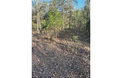 553 553 Bald Eagle Rd, Rufe, OK 74754