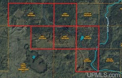 280A Camp One, Republic, MI 49879