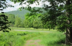 Airport Rd, Lot #4, Lexington, NY 12452