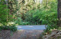 241 SKAMANIA MINES RD, Washougal, WA 98671