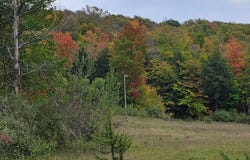Lot A N Crossover Drive, Bellaire, MI 49615