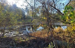 V/L E Avenue, Elyria, OH 44035