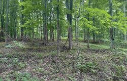 11629 S Tower, Maple City, MI 49664