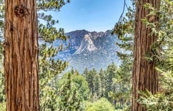 53299 Forest Lake DR, Idyllwild, CA 92549