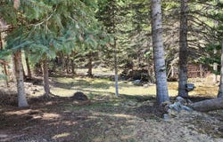 278 Copper St, Mullan, ID 83846