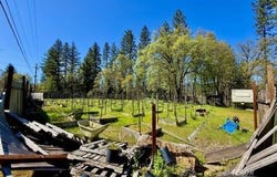 180 Ryan Ln, Hayfork, CA 96041