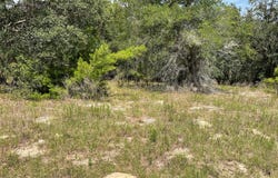 Tbd Lot 49 MALAUKA RADIAL, OCKLAWAHA, FL 32179