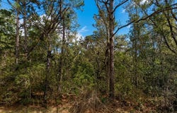 Pollard Road lot: A, Daphne, AL 36526