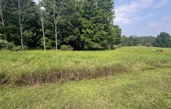 V/L S Dow Road, West Branch, MI 48661