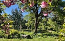 30000 State Hwy 299, Blue Lake, CA 95525