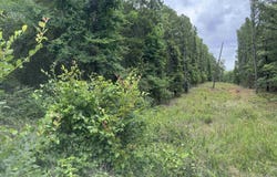 NO. BROADWAY Street, Heber Springs, AR 72543