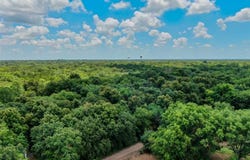 Tbd Shelby Lane, Ladonia, TX 75449