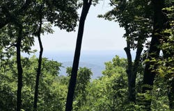 147 Raptor Way, Landrum, SC 29635