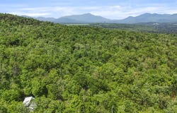 359 Bear Cub Lane, Lake Placid, NY 12946